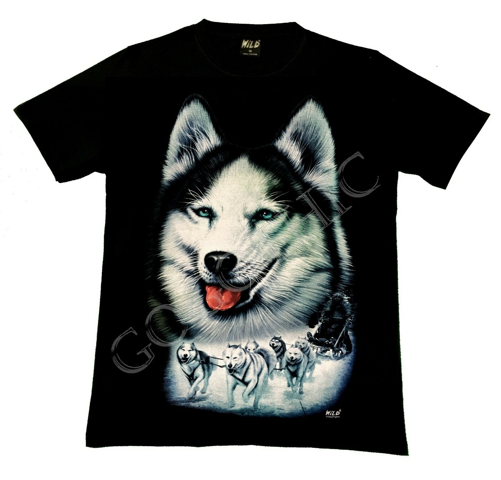 Husky